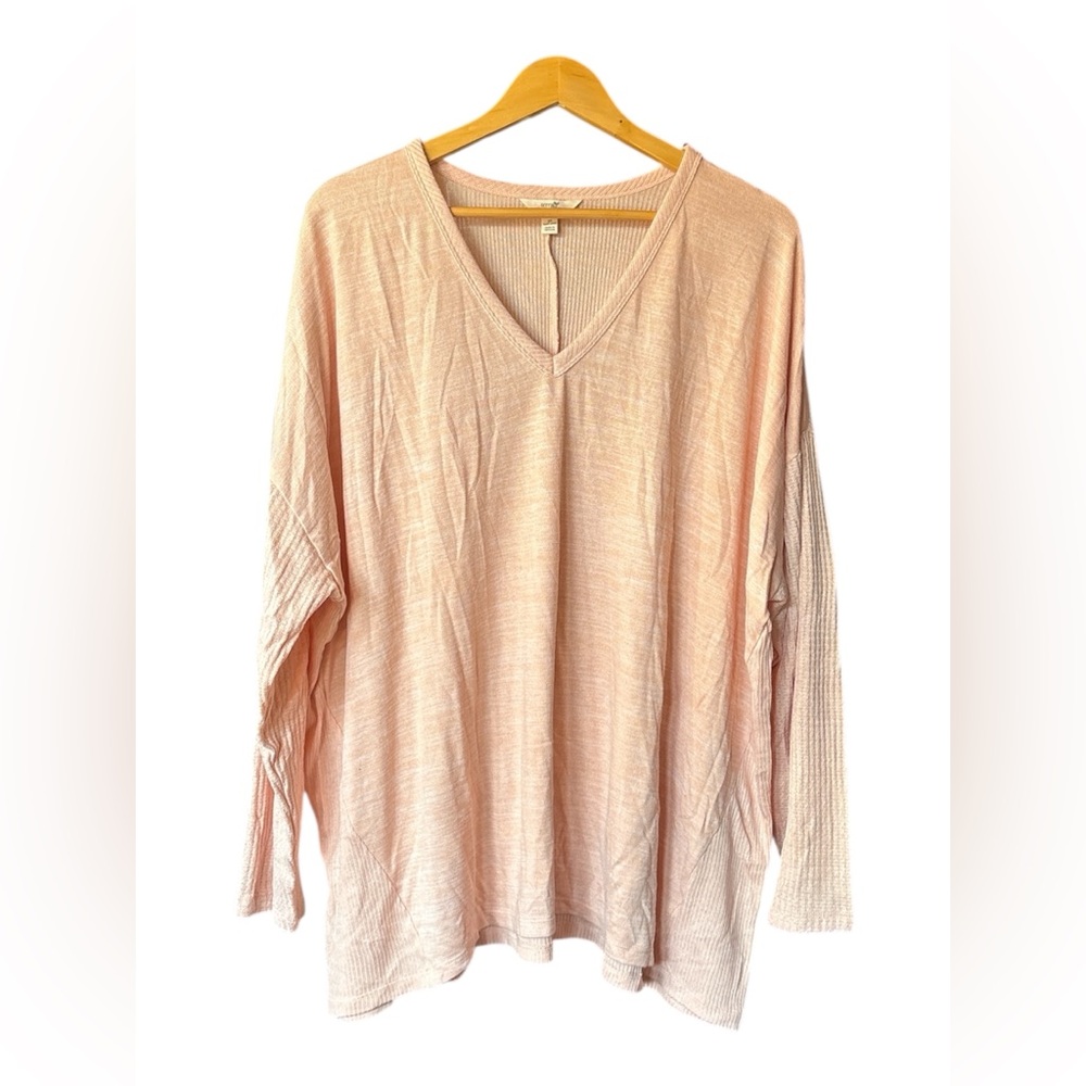 Terra & Sky Light Pink V-Neck Blouse